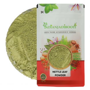 Stinging Nettle (Leaves) (Powder) - Tragia Involucrata - Duhsparsha - Vrischikali - Vrischikapatri - Bichhua Patti - Bichu Buti - Bichoo Buti - Bichhu Buti - Urtica Dioica - Nettle Tea by IndianJadiBooti