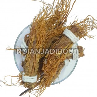 Ginseng Red (Root) (Korea Origin) - Panax Ginseng - Jinsing - Ginsing - Jinseng - Panax Quinquefolius by IndianJadiBooti