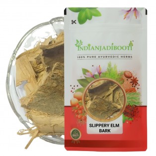 Slippery Elm (Bark) - Sarpidevadaru (Chhal) -  Ulmus Rubra - Ulmus Fulva by IndianJadiBooti