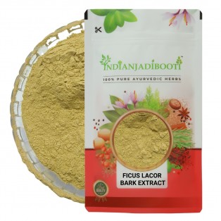 Ficus Lacor (Bark) (Extract) - Plaksha (Chhal) (Extract) - Java Fig - Pakad - Pakar - Pakadi - Lacor Fig - Pakhad by IndianJadiBooti