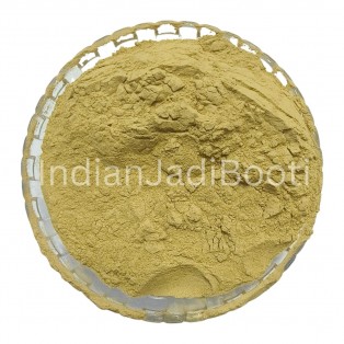 Ficus Lacor (Bark) (Extract) - Plaksha (Chhal) (Extract) - Java Fig - Pakad - Pakar - Pakadi - Lacor Fig - Pakhad by IndianJadiBooti