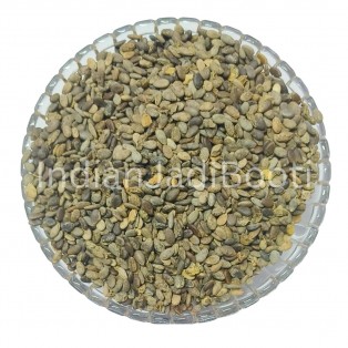 Indrayan (Beej) - Tumba Seeds - Bitter-Apple Seeds - Tukhm e Hanzal - Citrullus Colocynthis by IndianJadiBooti