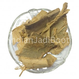 Slippery Elm (Bark) - Sarpidevadaru (Chhal) -  Ulmus Rubra - Ulmus Fulva by IndianJadiBooti