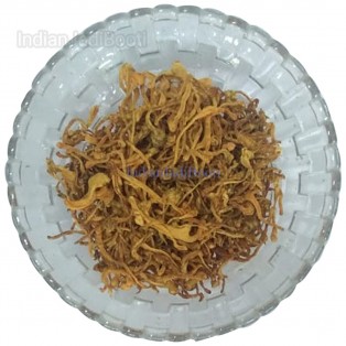 Kida Jadi (Lab Formulated) - Yarsagumba - Himalayan Viagra - Caterpillar Fungus - Cordyceps Militaris - Mushroom Dried Fruiting Body by IndianJadiBooti Kida Jadi (Lab Formulated) - Yarsagumba - Himalayan Viagra - Caterpillar Fungus - Cordyceps Militaris - Mushroom Dried Fruiting Body by IndianJadiBooti