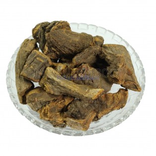 Revand Chini (Roots) - Rhubarb Roots - Rewand Khatai - Himalayan Rhubarb - Rheum Emodi by IndianJadiBooti Revand Chini (Roots) - Rhubarb Roots - Rewand Khatai - Himalayan Rhubarb - Rheum Emodi by IndianJadiBooti