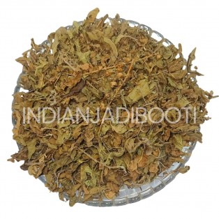 Shyama Tulsi (Patta) - Black Basil (Leaf) - Basil Leaves - Ocimum Sanctum by IndianJadiBooti Shyama Tulsi (Patta) - Black Basil (Leaf) - Basil Leaves - Ocimum Sanctum by IndianJadiBooti