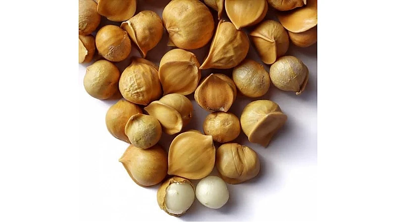Kashmiri Lehsun Price – Snow Mountain Garlic Rate & Buying Guide