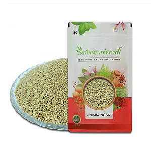 Naaj Kangni (Beej) (Bird Food) - Anaj Kangni (Seeds) - Thinai Rice - Naag Kangni - Kakum Beej - Foxtail Millets - Kangni Beej - Setaria Italica by IndianJadiBooti