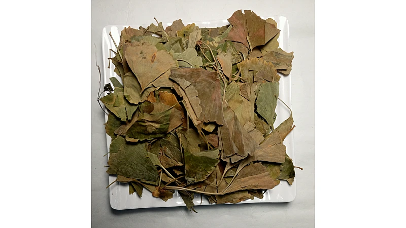 Benefits of Ginkgo Biloba Leaves