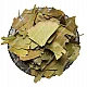 Ginkgo Biloba (Leaves) - Ginko Biloba - Maidenhair Tree by IndianJadiBooti
