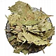 Guava (Leaves) (Dried) - Amrood (Patti) - Psidium Guajava - Amrud (Patta) by IndianJadiBooti