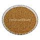 Champa Methi (Seeds) - Irani Methi (Beej) - Kasuri Methi Seeds - Sage Seeds by IndianJadiBooti