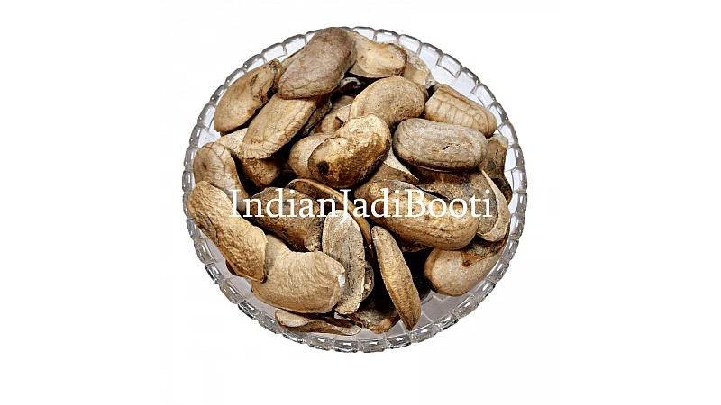 10 Benefits of Mango Seed Kernel - Aam Guthali - Mangifera Indica