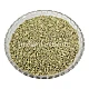 Saunf (Moti) - Fennel Seeds Thick - Aniseed - Foeniculum Vulgare Mill by IndianJadiBooti