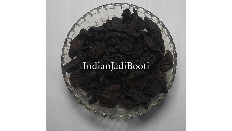 The Unsung Hero of Wellness: Exploring the Surprising Benefits of Kokum Rinds