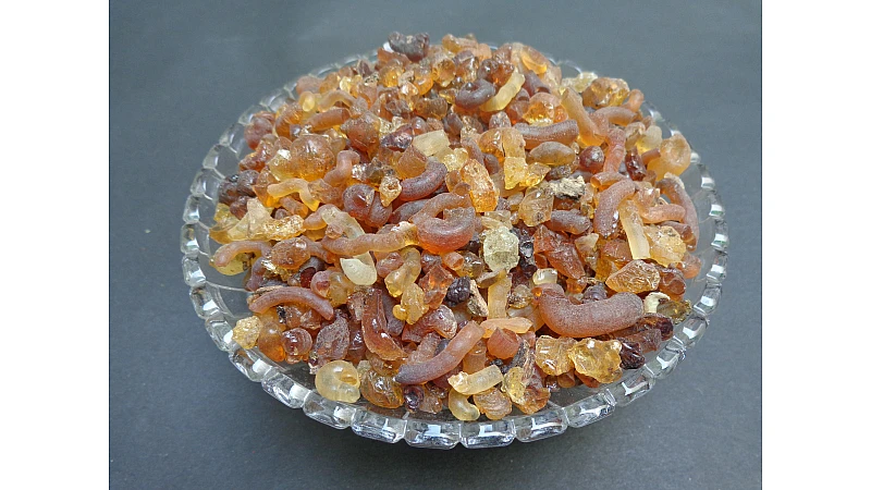 Kikar gond benefits