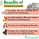 Bhimseni Camphor (Edible Grade) - Brass Kapoor - Baras Kapoor - Pacha Karpuram- Pacha Karpooram - Cinnamomum Camphora - Desi Kapoor by IndianJadiBooti