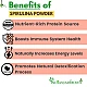 Spirulina (Powder) -  Arthrospira Platensis by IndianJadiBooti
