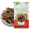 Akarkara (Irani) (Roots) - Akarkara Asli- Anacyclus Pyrethrum - Pellitory Roots - Pellety Roots by IndianJadiBooti