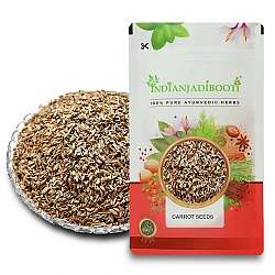 Carrot (Seeds) (Edible) - Gajar K Beej - Daucus Carota by IndianJadiBooti
