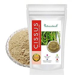 HadJod (Powder) - Cissus Powder - Hadjora Powder - Gangdi - Vajravalli Powder - Nalleru - Pirandai - Cissus Quadrangularis by IndianJadiBooti