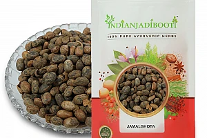 Jamalghota in Traditional Medicine: A Comprehensive Guide
