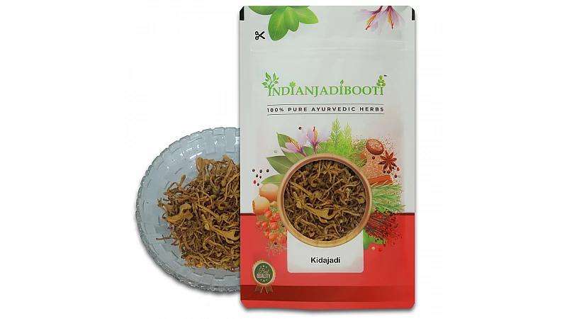 Benefits of Kida Jadi (Lab Formulated) - Cordyceps Militaris - Mushroom Dried Fruiting Body