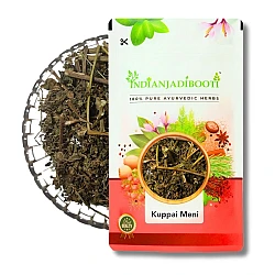 Kuppai Meni (Panchang) - Kuppaimeni (Dried & Crushed Plant) - Indian Nettle - Harita Manjari - Acalypha Indica by IndianJadiBooti 