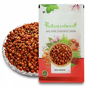 Malkangni (Beej) - Jyotishmati (Seeds) - Celastrus Paniculatus by IndianJadiBooti