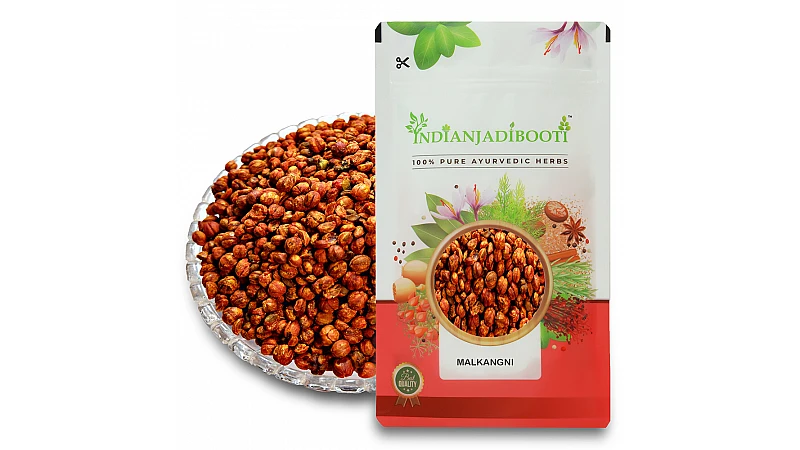 Benefits of Malkangni Beej - Jyotishmati Seeds - Celastrus paniculatus