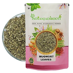 Mugwort (Leaves) - Afsanteen (Patta) - Damanaka - Nagdon - Wormwood - Artemisia Absinthium - Green Ginger - Madderwort - Artemisia Vulgaris by IndianJadiBooti