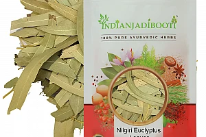 Benefits of Nilgiri Patta - Eucalyptus Leaves