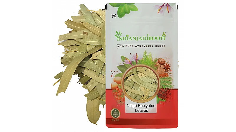 Benefits of Nilgiri Patta - Eucalyptus Leaves