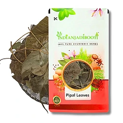 Pipal (Leaves) - Peepal (Patta) - Ficus Religiosa by IndianJadiBooti
