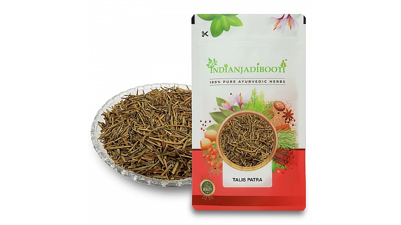 Benefits of Talispatra - Talish Patra - Tallis Patra - Indian Silver Fir - Abies Webbiana
