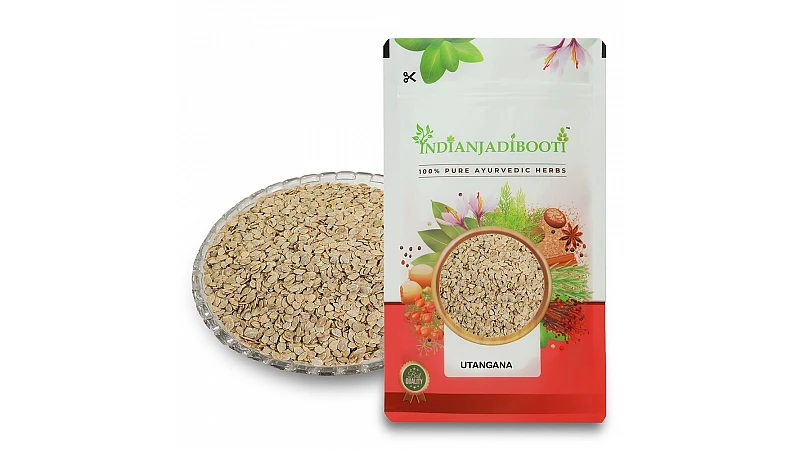 Benefits of Utangan Beej - Tukhme Anjara - Utangan Seeds - Blepharis edulis Pers