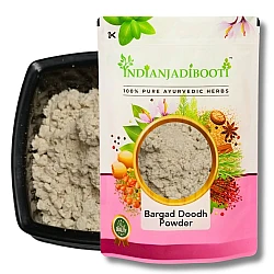 Badh Ka Doodh (Dudh) (Powder) - Banyan (Bargad) Tree Milk (Powder) - Ficus Benghalensis by IndianJadiBooti 