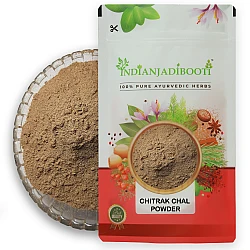 Chitrak Bark (Powder) (Lal Chitrak) - Chita Chaal - Chita Chhal - Chita Chal - Chitra - White Leadwort - Plumbago Zeylanica  by IndianJadiBooti