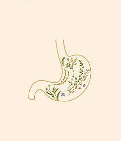 Constipation and Digestion