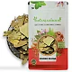 Ginkgo Biloba (Leaves) - Ginko Biloba - Maidenhair Tree by IndianJadiBooti