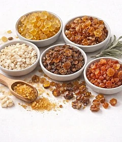Gums and Resins