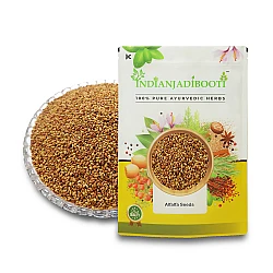 Alfalfa Fodder (Seeds) - Medicago Sativa - Lucerne Grass Seeds for Sprouting by IndianJadiBooti