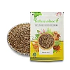 Anesu Asli - Saunf Rome - Fennel Fruit - Sonf Rome - Pimpinella Anisum - Anisoon - Aniseed - Anisun - Anisoo - Foeniculum Vulgare by IndianJadiBooti