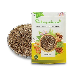 Anesu Asli - Saunf Rome - Fennel Fruit - Sonf Rome - Pimpinella Anisum - Anisoon - Aniseed - Anisun - Anisoo - Foeniculum Vulgare by IndianJadiBooti
