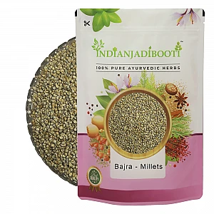 Bajra - Pearl Millets - Bajri - Sajjalu - Sajje - Kambu - Pindi - Kambam by IndianJadiBooti