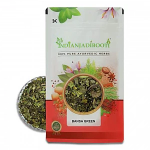 Adusa Vasaka (Leaf) - Adhatoda Vasica - Adulasa - Wasaka - Bansa Green - Malabar Nut by IndianJadiBooti