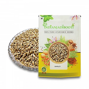 Barley (Seeds) (With Husk) - Jau - Yava - Java - Jawa - Hordeum Vulgare by IndianJadiBooti