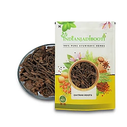 Chitrak (Roots) (Lal Chitrak) - Chita Mool - Chita Root - Chita Jadd - Chitra - White Leadwort - Plumbago Zeylanica Root by IndianJadiBooti