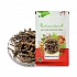 Dandelion (Roots) (Cultivated) (Premium) - Singhparni (Jadd) - Sinhaparni - Taraxacum Officinale by IndianJadiBooti
