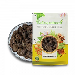 Black Cardamom Whole (Big Cardamom) - Kali Moti Elaichi - Amomum Subulatum - Elettaria Cardamomum by IndianJadiBooti